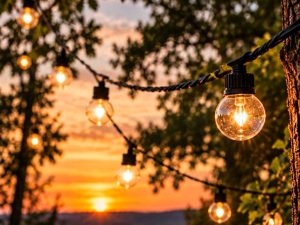 Skaidri girlianda juodu laidu nuoma